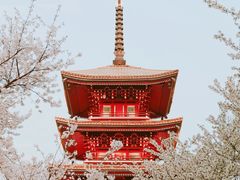 -东湖磨山景区