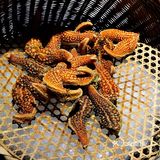 美食自助你吃得回本吗😍