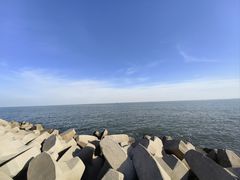-东堤公园