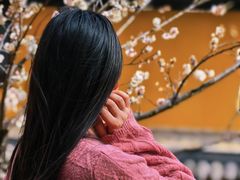 -无锡梅园公园