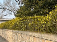 -元大都城垣遗址公园