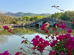 -大屏嶂森林公园