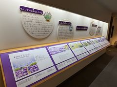 -富田农场