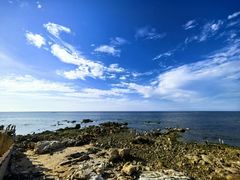 -海岛日记(养马岛店)