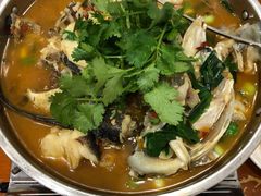 -全乐鱼馆·淳牌有机鱼直营店