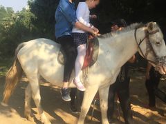 -南阳卧龙岗武侯祠