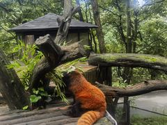 -云南野生动物园
