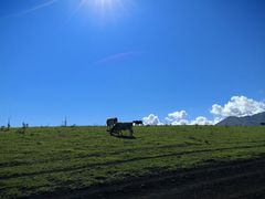 -新疆那拉提国家旅游度假区