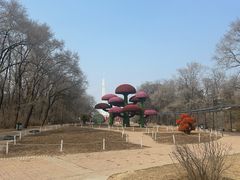 -沈阳植物园