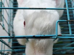 -百金通黄金回收首饰定制维修(珠江路总部)