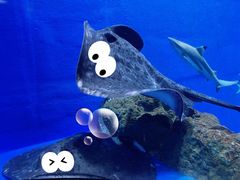 -成都浩海立方海洋公园