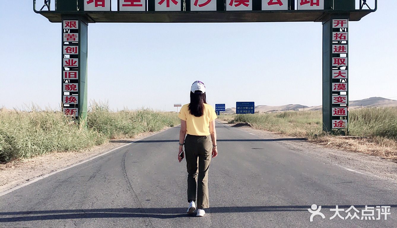塔里木沙漠公路