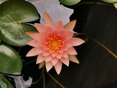-西安市广仁寺