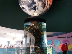-瑞普利水族馆