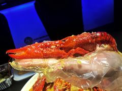 -西街夜油条·麻团包乌饭