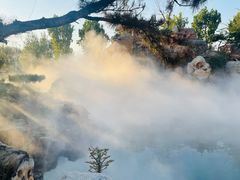 -静之湖湖畔餐厅