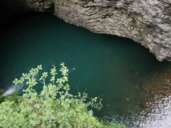 -鹿院坪生态旅游景区