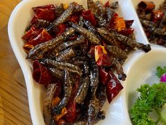 -蘑统田下·野生菌火锅