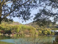-白马涧龙池景区