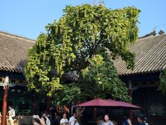 -张学良旧居陈列馆