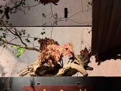 -淮扬府·游园京梦(北京SKP店)