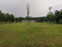-眉山湿地公园(东坡区)