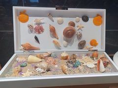 -雍容荟帝王蟹活龙虾展台自助(IFS黑金店)