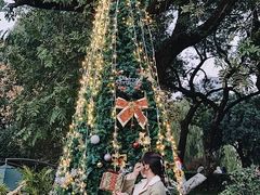 -橘洲1910花园江景西餐厅