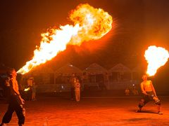 -东南花都花博园