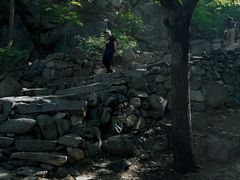 -北京鹫峰国家森林公园