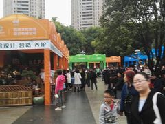 -重庆市江北嘴中央商务区中央公园