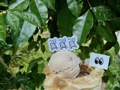-cab意式gelato冰淇淋