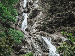 -九龙江国家森林公园