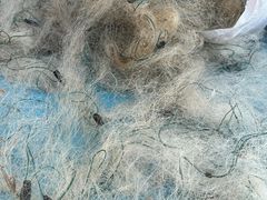 -君豪蟹都·湖景·农家乐(蟹舫苑店)