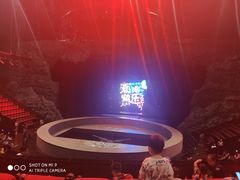 -重庆国际马戏城