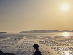 -枸杞岛