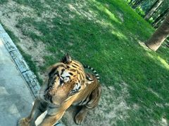 -北京野生动物园