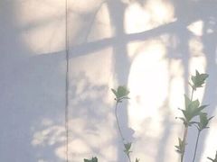 -肥朵食堂(带梦胡同店)