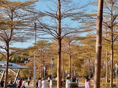 -深圳湾公园(南山区)
