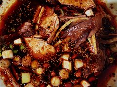 -老字号怡玺·藿香雅鱼(20年雅安店)