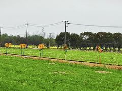 -嘉北郊野公园