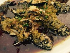 iphone_upload_pic-漫渡庄绿岛花园•隐世庭园菜(滨湖店)