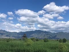 -野鸭湖国家湿地公园