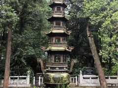 -兴教寺
