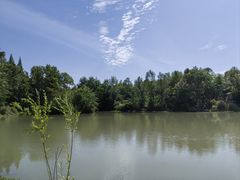 -桤木河湿地公园