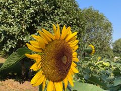 -玄武湖景区-情侣园游乐场