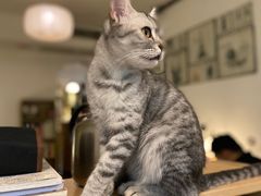 -隅cafe(傅厚岗店)