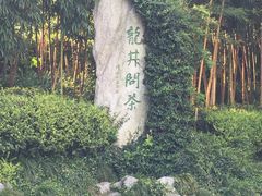 -十八棵（老龙井）御茶园(老龙井店)