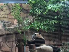 -泉州海丝野生动物世界