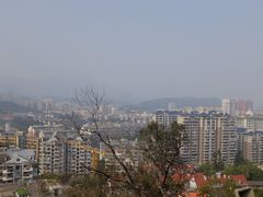 -福道
